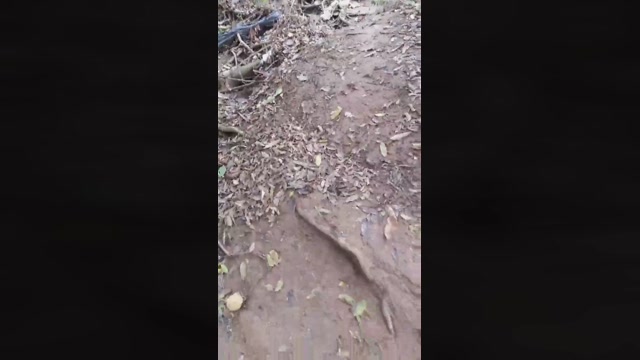 Synbaherrera  29-09-2022